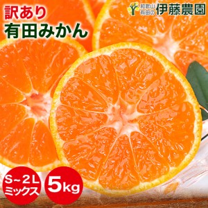 みかん 訳あり 5kg 極早生 早生 中生 晩生 みかん 送料無料 S M L 2L ミックス 不ぞろい 有田みかん 蜜柑 ミカン フルーツ 果物 和歌山