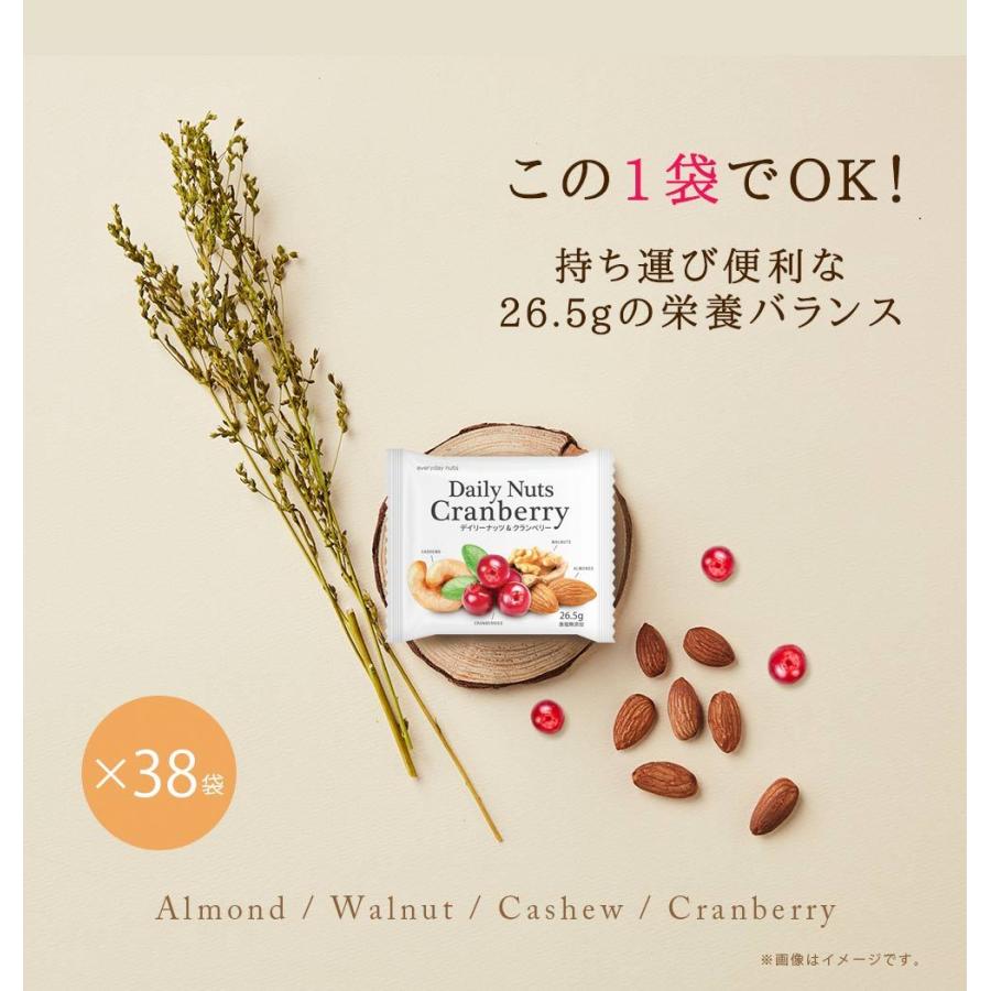 小分けデーリーナッツクランベリー 1kg (26.5gx38袋) 産地直輸入 個包装 箱入り 食塩不使用 防災食品 非常食 備蓄食 保存食 プレゼント用