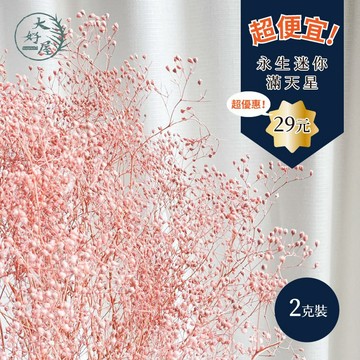 大好屋 現貨 迷你滿天星 百萬星 不凋花 永生花 DIY手作 大地農園 拍攝道具 乾燥花材料 花藝材料  材料包 花盅