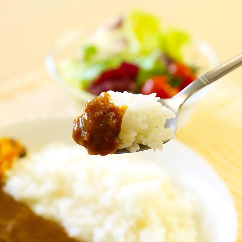 カレー レトルトカレー 中辛 ビーフカレー 食研カレー 200g 40食セット 北国からの贈り物