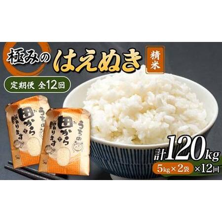 ふるさと納税 令和5年産 極みのはえぬき 5kg×2（精米）全12回 米 お米 おこめ 山形県 新庄市 F3S-1699 山形県新庄市