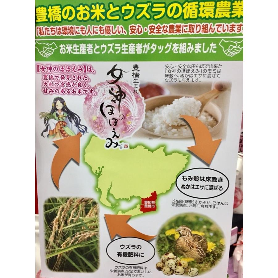 令和５年”愛知県産女神のほほえみ” 白米 5kg