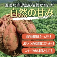 紅はるか 冷凍やきいも 2.5kg（500ｇ×5）