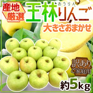 ”王林りんご” 訳あり 約5kg 大きさおまかせ 産地厳選 送料無料