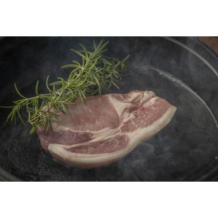 ふるさと納税 豚肉 『もちぶた』ロース ソテー・とんかつ用  750g 約150g × 5枚 宮城県角田市