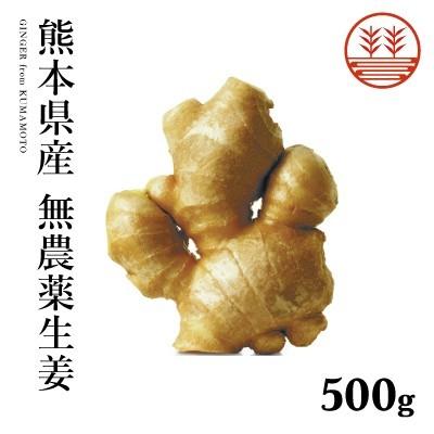 無農薬 生姜 500g 熊本県産 国産 生姜 しょうが ショウガ 根生姜 佃煮 薬味 きざみ 生姜 生姜焼き 唐揚げ