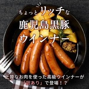 ふるさと納税 鹿児島黒豚あらびきウインナー 計1.8kg(900g×2袋) a0-291-2401 鹿児島県志布志市