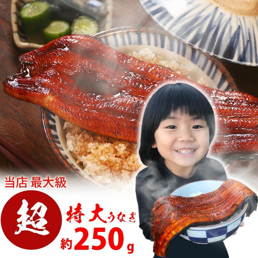 　超特大蒲焼　約250g ×1尾  　貴重な浜名湖産　産地限定　脂が乗っています♪※ご自宅用のため、のし対応できません