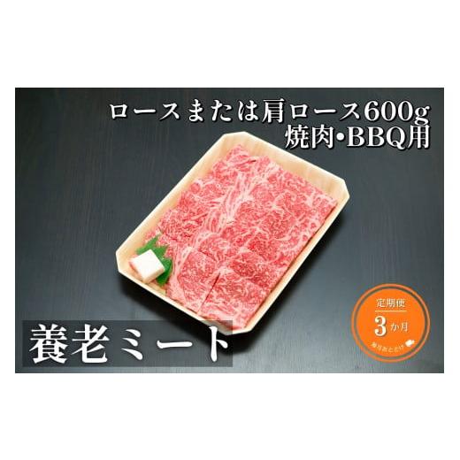 ふるさと納税 岐阜県 岐阜市 飛騨牛ロースまたは肩ロース600g焼肉・BBQ用