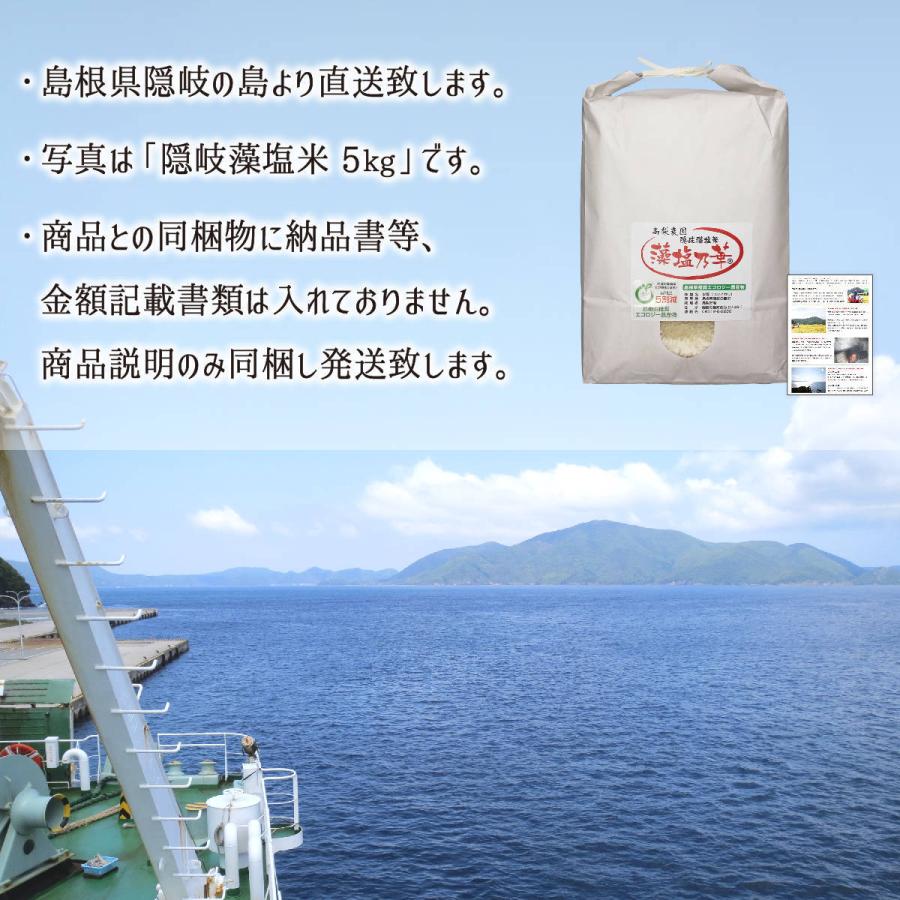 隠岐藻塩米 特別栽培 コシヒカリ 玄米 10kg 島根県隠岐の島町 2023年産 減農薬 減化学肥料 単一生産者米 エコファーマー 藻塩乃華 送料無料