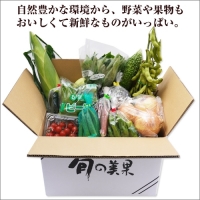 紀州の野菜・果物セット(15～20品目詰め合わせ)