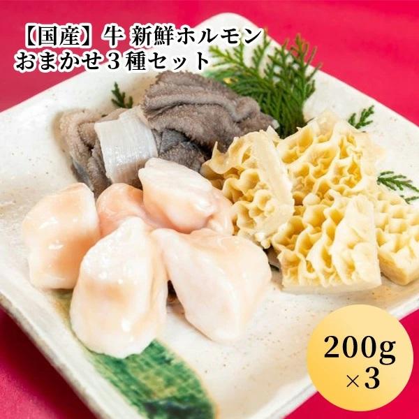 牛 新鮮ホルモン おまかせ３種セット(200g×3）(２〜３人前)