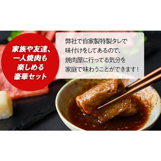 ふるさと納税 栃木県 栃木市 とちぎ産焼肉セット