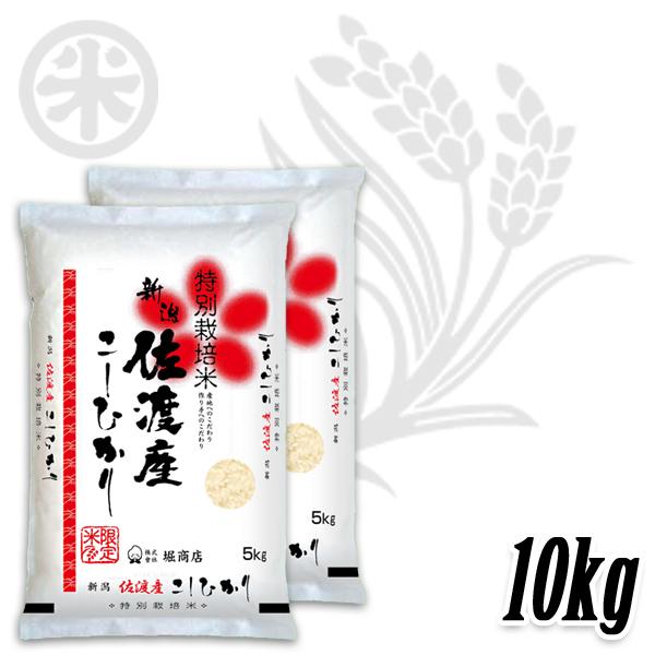 [新米 令和5年産] 佐渡産コシヒカリ 朱鷺と暮らす郷づくり認証米 10kg (5kg×2袋) 特別栽培米 契約農家 お米 白米 こしひかり 送料無料 ギフト対応