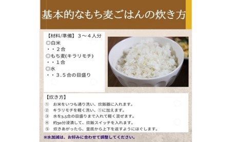 岡山県玉野市産 もち麦 キラリモチ 10kg (5kg×2袋)