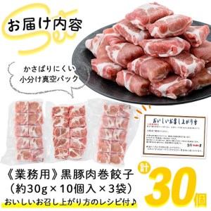 お肉屋さんの黒豚肉巻餃子 計30個(10個入×3袋) a1-009