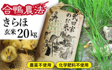 《令和５年度産》武田家のお米 きらほ（玄米）20kg＜合鴨農法＞   米 ５キロ ４袋 アイガモ