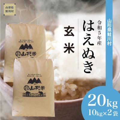 ふるさと納税 鮭川村 令和5年産 鮭川村 はえぬき  20kg (10kg×2袋)