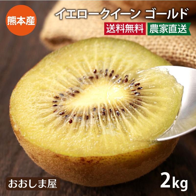 キウイ ゴールド 2kg 送料無料  ＜11月上旬より順次出荷＞ 国産 イエロークイーン さぬきゴールド 熊本産 産地直送 大嶌屋（おおしまや）