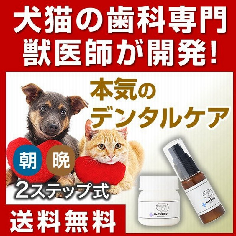 市場 トーラス 1セット 愛猫用 初めての歯みがきセット