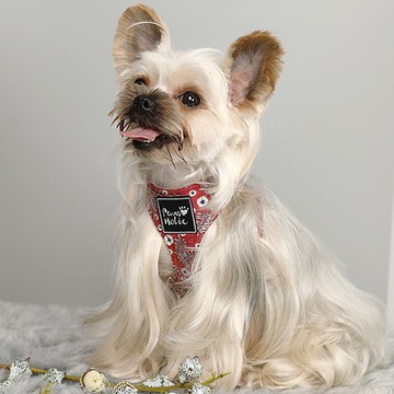 棉質親膚/環繞設計/自在舒適 | 狗胸背-小石榴 Pawsholic爪迷