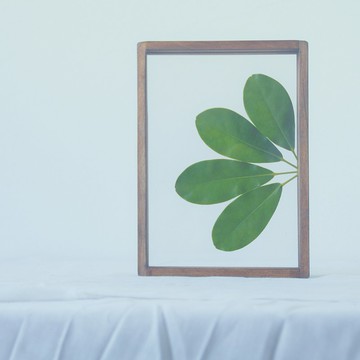 最萬用情人【相框/植物標本/告白木框】 三種尺寸 DIY首選