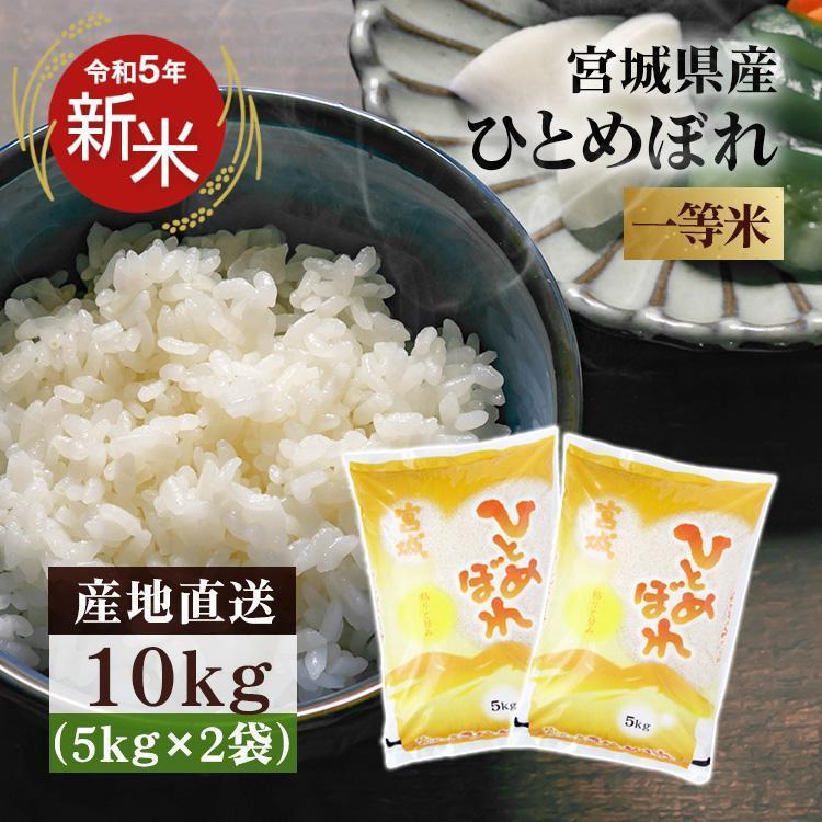 ひとめぼれ 10kg 米 10kg 送料無料 お米 10kg 白米 送料無料 安い 宮城県産 一等米 白米 うるち米 5kg×2 ごはん 令和5年産