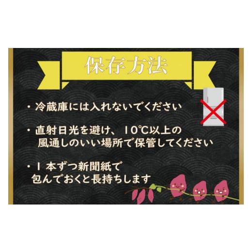 ふるさと納税 茨城県 行方市 CU-87-5 無選別　行方台地のさつまいも　紅はるか5kg＋シルクスイート5kg