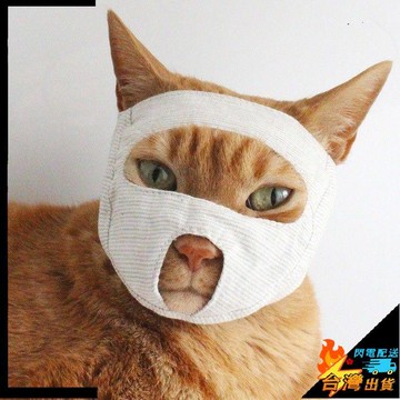 【台灣出貨】寵物面罩 貓咪洗護面罩 貓咪防抓咬 寵物頭罩 透氣 露眼臉罩 剪指甲 寵物護理面罩
