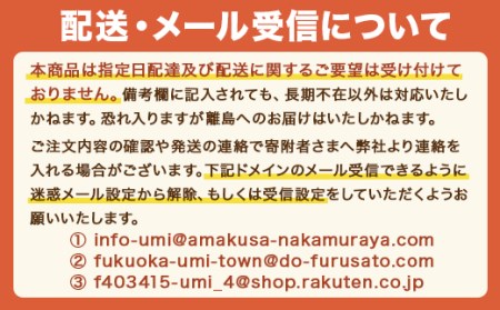 博多和牛サーロインステーキ 250g（250g×1枚）　DX009