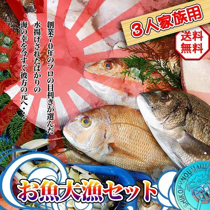 瀬戸内海産　海産物の詰め合わせ3人前5品セット　魚介類