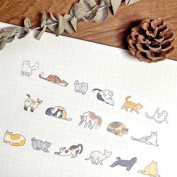 貓咪和紙紙膠帶