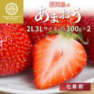 [予約 2024年2月11日-2月14日の納品] バレンタインデー あまおう 約 300g×2 2L3Lサイズ 福岡県産 大粒 いちご 苺