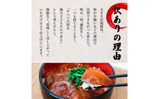 これが魚屋の漬け丼だ！～ブリ～ 《訳あり》 ８０ｇ×５P ブリ ぶり 鰤 漬け丼 漬け どんぶり 丼 5パック 海鮮 魚 真空パック 個食 個包装 冷凍 配送 訳あり 規格外 不揃い