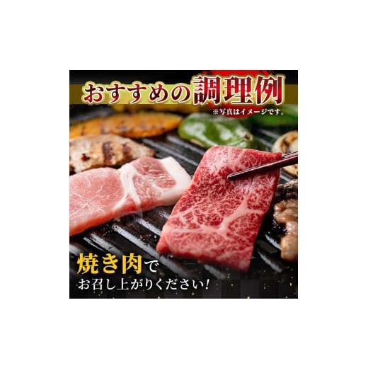 ふるさと納税 宮崎県 三股町 MI143 ＜先行予約受付中！2024年2月以降順次発送予定＞宮崎牛 肩ロース焼肉(300g)と宮崎県産黒毛和牛小間切れ(100g×…