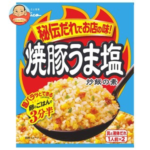 江崎グリコ 焼豚うま塩炒飯の素 35.2g×10袋入｜ 送料無料