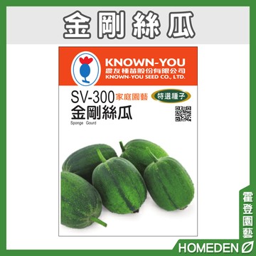 【隔日到貨】金剛絲瓜 SV-300 蔬果特選種子 農友牌 小包裝種子 約6粒/包【HOMEDEN霍登園藝】