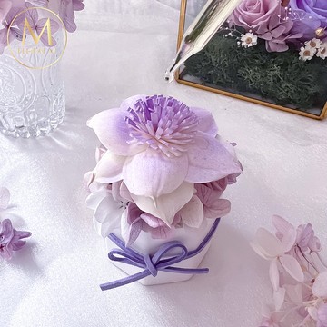 加州落日永生香氛擴香花夕陽紫 (贈送5ml香氛油)