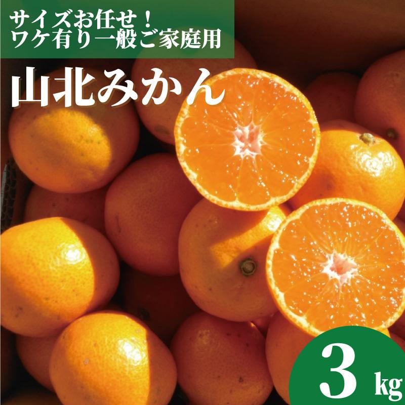 高知産 山北みかん３ｋｇサイズお任せ！ ワケ有り一般ご家庭用蜜柑：ミカン