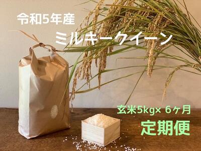 栃木県産ミルキークイーン　≪「玄米」5kg × 6ヵ月 毎月お届け≫　米　お米　玄米　ミルキー　農家直送　産地直送