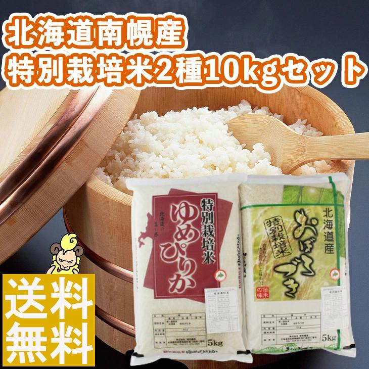 城地農産北海道南幌産　特別栽培米2種10kgセット  FUJI お歳暮 お中元  送料無料