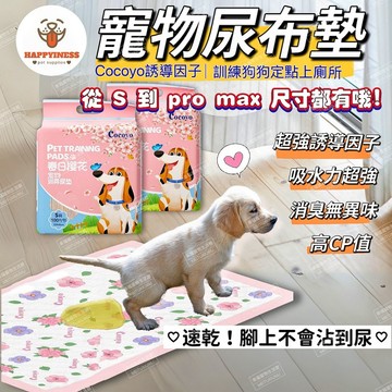 寵物尿布 寵物尿布墊 狗尿布 尿布墊 尿墊 寵物尿墊 狗尿墊 狗尿布墊 狗狗尿布墊 狗狗尿墊 狗狗尿片 cocoyo