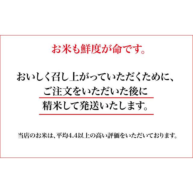 くまさんの力 白米 5kg 熊本県産 令和5年産 米 コメ こめ