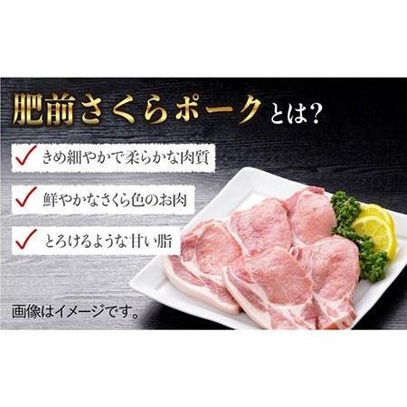 ふるさと納税 とろけるような口どけ肥前さくらポーク とんかつ用ロース500g（100g×5枚） 吉野ヶ里町 佐賀県農業協.. 佐賀県吉野ヶ里町