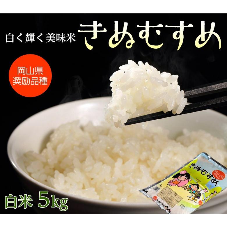 「きぬむすめ」 岡山県産 白米　5kg　※常温　送料無料