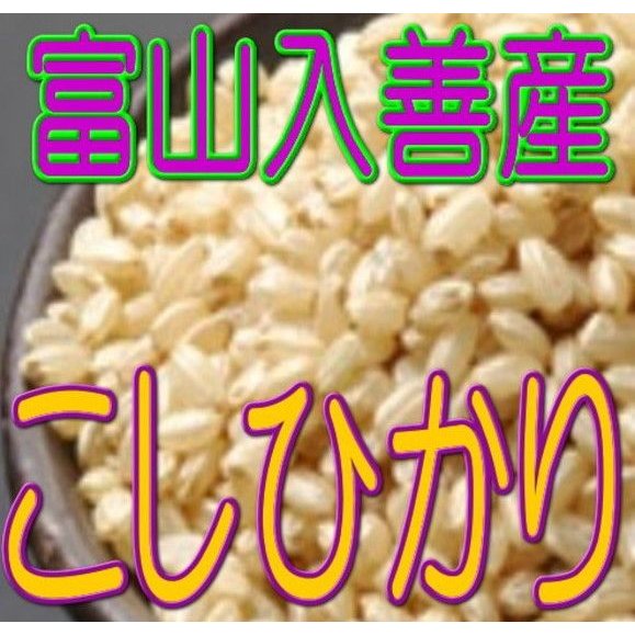 新米 玄米 入善産こしひかり 10kg 令和5年産 富山県産