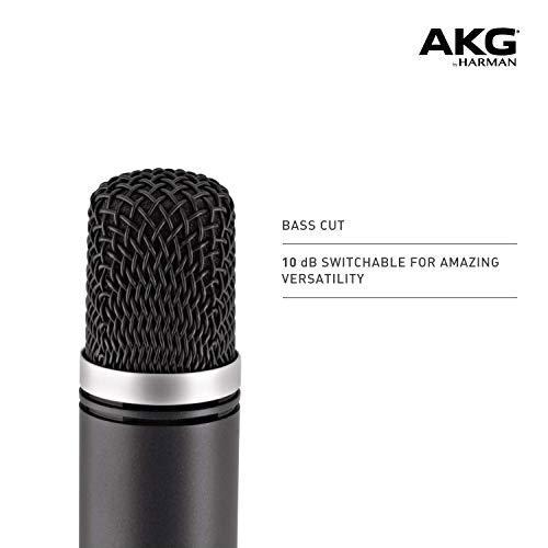 AKG Pro Audio C1000s Condenser Microphone, Multipattern by AKG Pro Audio 並行輸入品