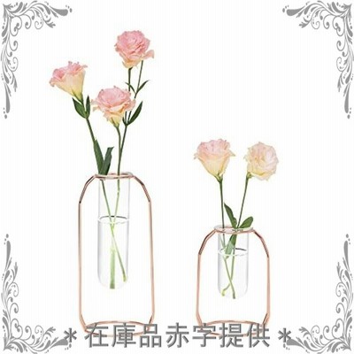 Hyindoor 水耕栽培花瓶 金属枠 透明 ガラス花瓶 テラリウム容器 試験管花瓶 2個入 植物ポット フラワーベース ローズゴールド 通販 Lineポイント最大get Lineショッピング