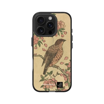 iPhone 16 Pro Clear 酷墨灰 - Van Gogh Museum - 櫻花樹上的伯勞鳥