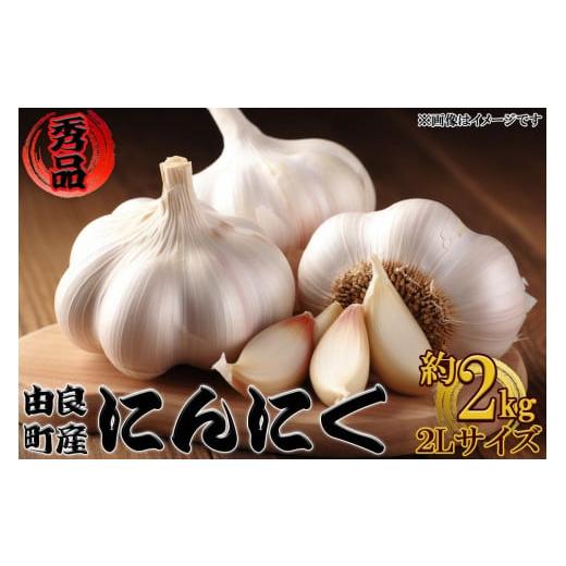 ふるさと納税 和歌山県 由良町 由良町産にんにく 秀品  ２Ｌサイズ  約2kg(1kg×2)